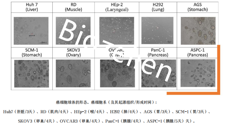 B-P-00002   Biozellen?3D細(xì)胞培養(yǎng)基質(zhì)膠套裝 二.png