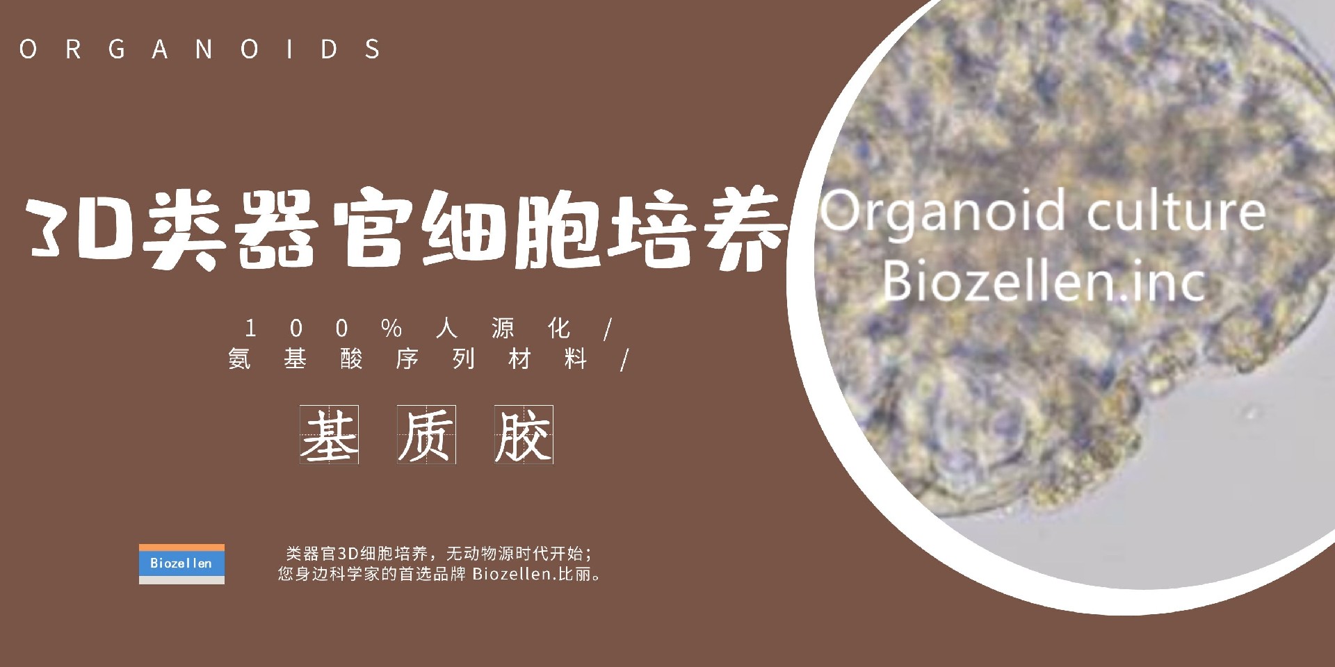 B-P-00003   Biozellen?3D類器官培養基質膠套裝 一.jpg
