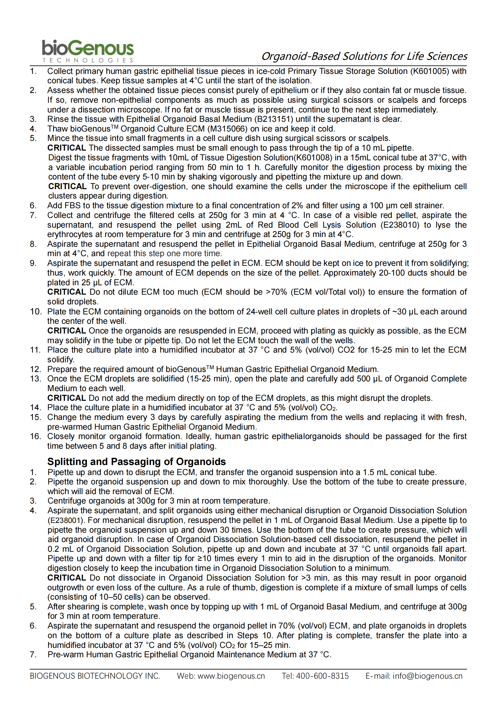 人胃上皮（無血清）-K2004-HG_01.png