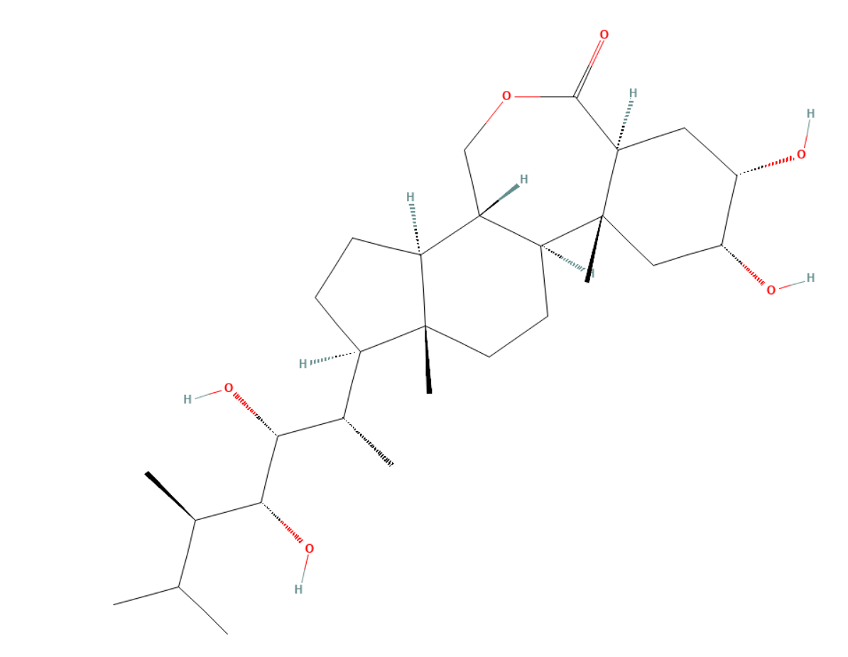 68834ae699a49.png